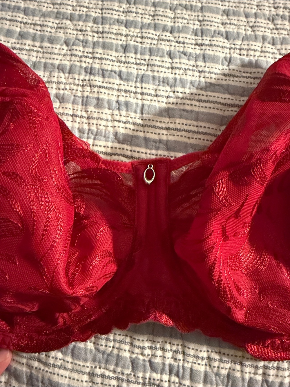 Fantasie Red Lace Underwire Bra full coverage - Picture 3 of 5